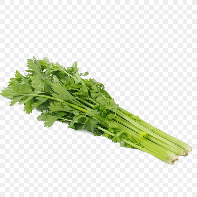 Cauliflower Romanesco Broccoli Red Cabbage, PNG, 1000x1000px, Cauliflower, Artichoke, Brassica Oleracea, Broccoli, Cabbage Download Free