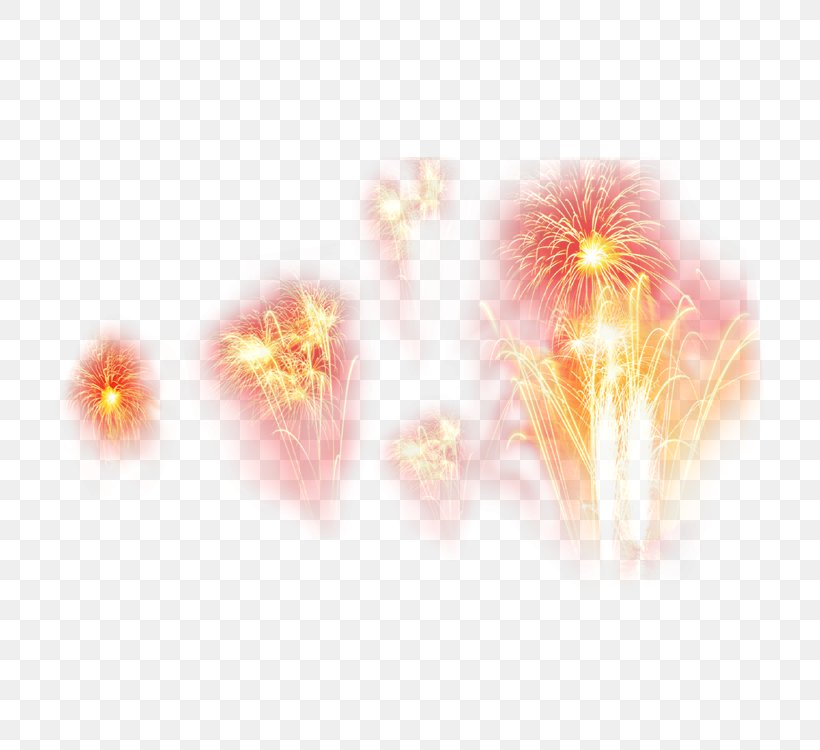 Light Fireworks, PNG, 750x750px, Light, Color, Cover Art, Fire, Fireworks Download Free