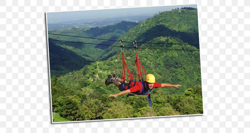 Toro Verde Nature Adventure Park Orocovis San Juan, PNG, 572x438px, Adventure, Adventure Park, Escarpment, Extreme Sport, Forest Download Free