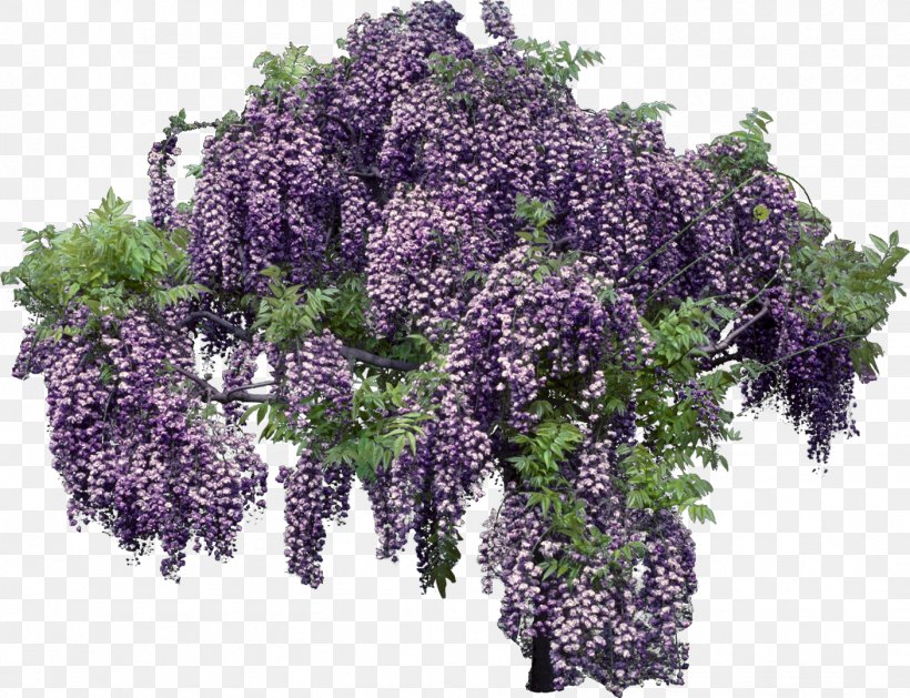 Tree Shrub Clip Art, PNG, 1406x1080px, Tree, Android, Flower, Flowerpot, Herb Download Free