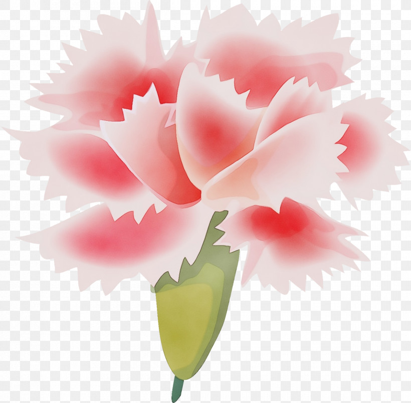 Flower Pink Petal Plant Leaf, PNG, 1200x1178px, Watercolor, Carnation, Cut Flowers, Dianthus, Flower Download Free
