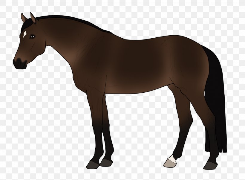 Stallion Horse Pony Gallop Silhouette, PNG, 2502x1839px, Stallion, Aasi, Animal Figure, Bridle, Colt Download Free