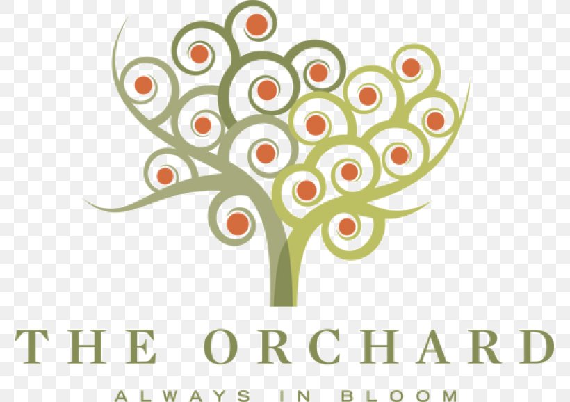 The Orchard Town Center Orchard Parkway Retail Arvada Floral Design, PNG, 775x578px, Retail, Arvada, Colorado, Cut Flowers, Flora Download Free
