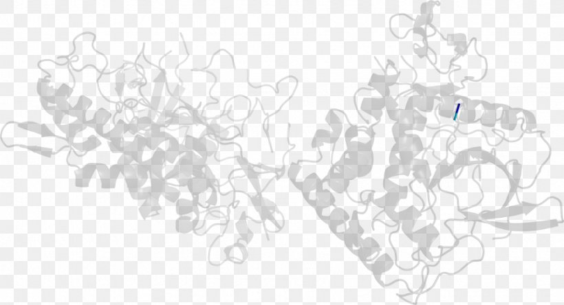 White Line Art, PNG, 923x500px, White, Black, Black And White, Drawing, Hand Download Free