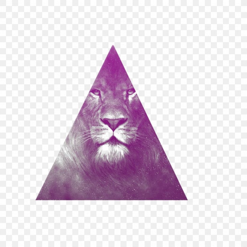 Equilateral Triangle Geometry, PNG, 894x894px, Triangle, Equilateral Triangle, Geometric Shape, Geometry, Magenta Download Free
