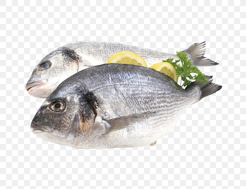 Fish Flyer Gilt-head Bream Promotion Supermarket, PNG, 724x630px, Fish, Animal Source Foods, Coupon, Discount Shop, Fish Products Download Free
