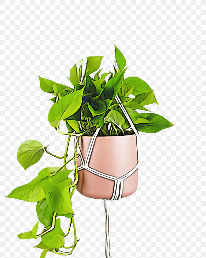 Leaf Plant Stem Herbal Medicine Flower Herb, PNG, 1200x1500px, Leaf, Biology, Flower, Flowerpot, Hay Flowerpot With Saucer Download Free