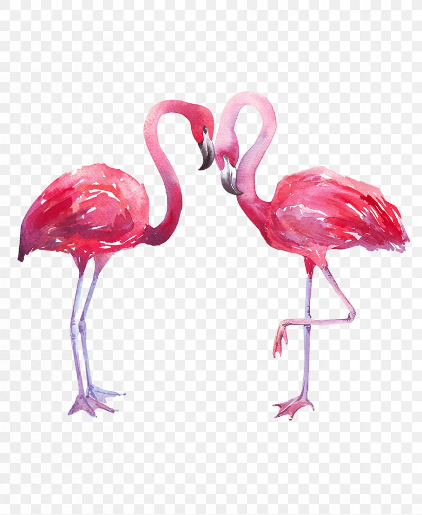 Photography Watercolor Painting Royalty-free, PNG, 884x1080px, Photography, Banco De Imagens, Beak, Bird, Flamingo Download Free