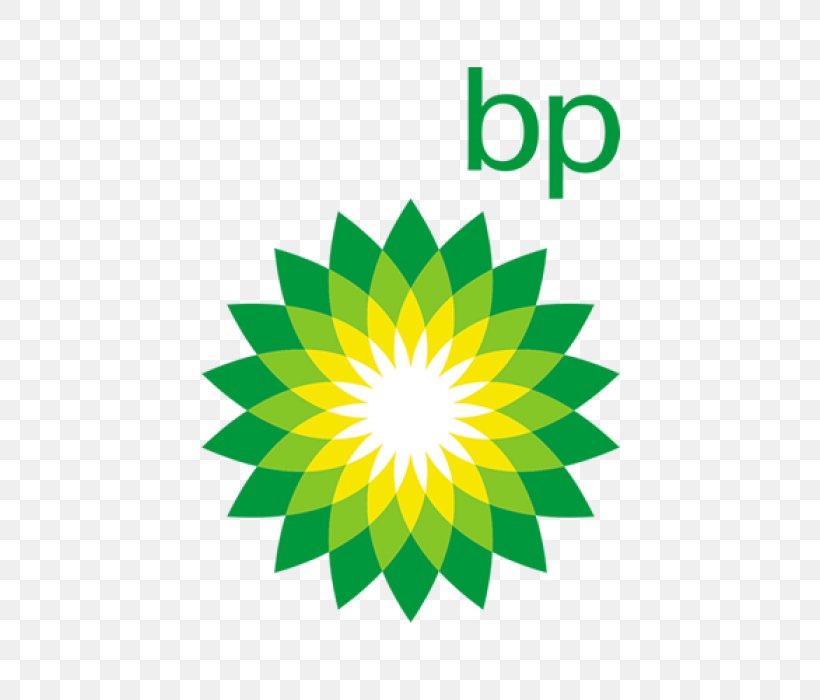 BP Organization Natural Gas, PNG, 700x700px, Organization, Customer Service, Flower, Green, Leaf Download Free