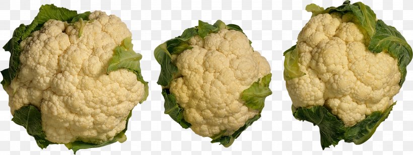 Cauliflower Cruciferous Vegetables Food Broccoli, PNG, 2528x952px, Cauliflower, Brassica Oleracea, Broccoli, Cabbage, Cabbage Family Download Free