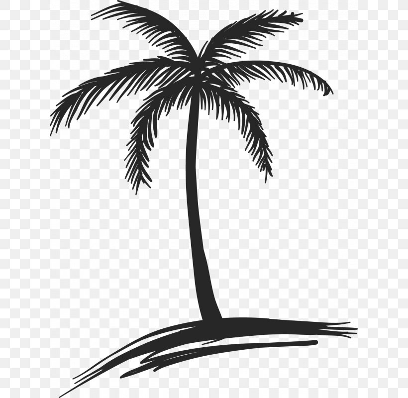Drawing Coconut Arecaceae Tree Watercolor Painting, PNG, 800x800px, Drawing, Arecaceae, Arecales, Art, Black And White Download Free