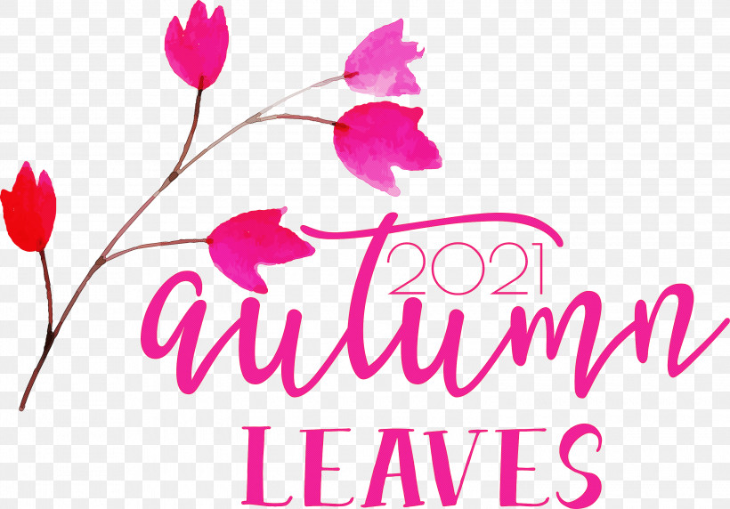 Autumn Leaves Autumn Fall, PNG, 3000x2096px, Autumn Leaves, Autumn, Cut Flowers, Fall, Floral Design Download Free