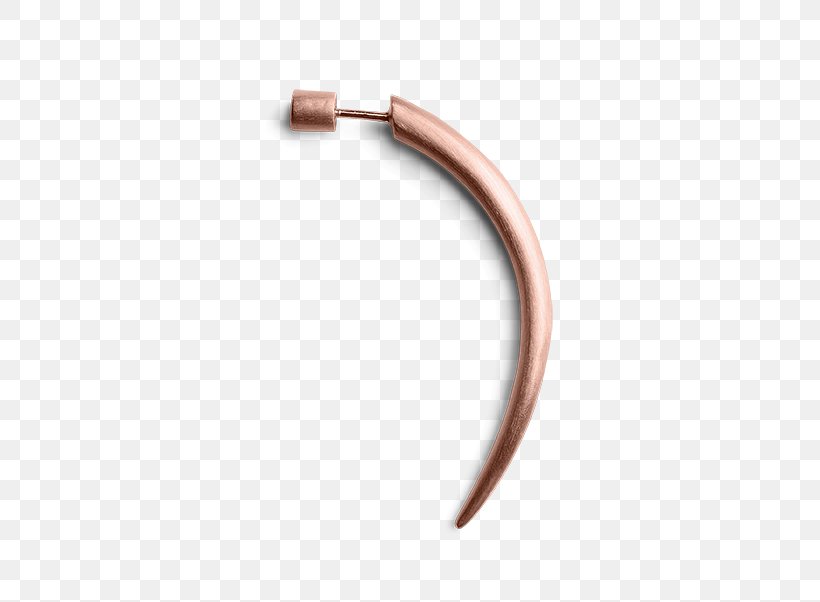 Body Jewellery Angle, PNG, 602x602px, Body Jewellery, Body Jewelry, Fashion Accessory, Jewellery Download Free