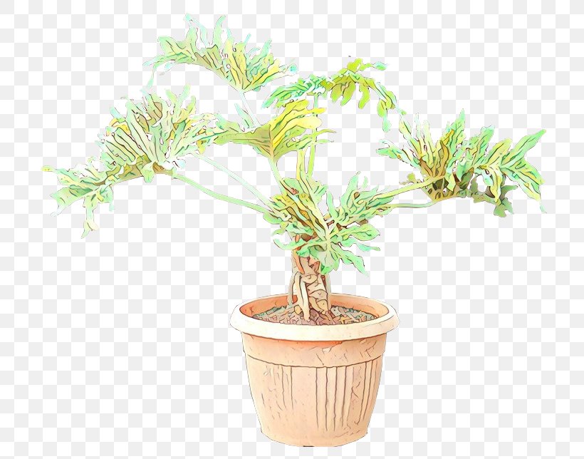 Bonsai Tree Philodendron Flowerpot Gardening, PNG, 732x644px, Bonsai, Arborvitae, Branch, English Yew, Evergreen Download Free
