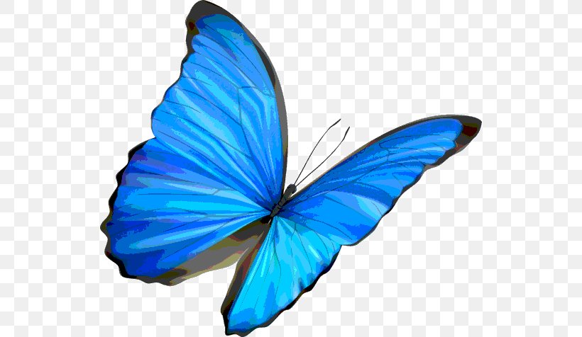 Butterfly Insect Blue Morpho Clip Art, PNG, 538x476px, Butterfly, Blue, Blue Morpho, Brush Footed Butterfly, Butterflies And Moths Download Free