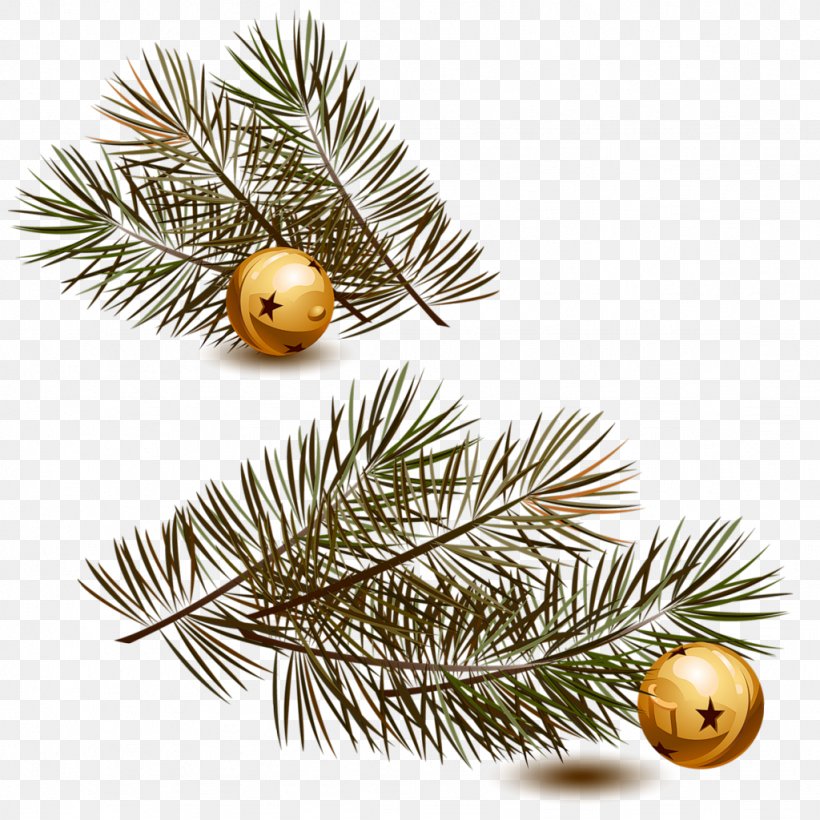 Christmas Day Christmas Ornament Website Spruce, PNG, 1024x1024px, Christmas Day, Blog, Bombka, Branch, Christmas Decoration Download Free