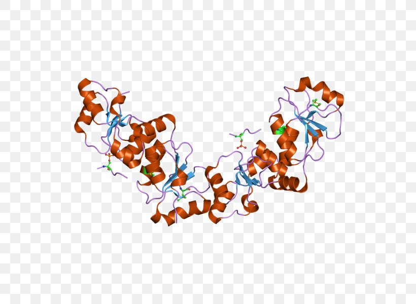 MDC1 H2AFX Cell Cycle Checkpoint DNA Protein, PNG, 800x600px, Cell Cycle Checkpoint, Amino Acid, Art, Dna, Dna Damage Download Free