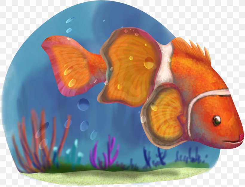 Desktop Wallpaper Image Clownfish, PNG, 988x757px, Fish, Angelfish, Aquarium Decor, Clownfish, Coral Download Free
