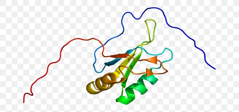 Serine/arginine-rich Splicing Factor 1 Alternative Splicing RNA Splicing Primary Transcript, PNG, 712x386px, Alternative Splicing, Area, Artwork, Calcitonin, Cell Download Free