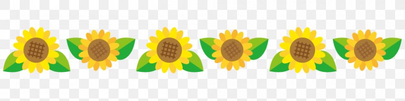 Sunflower Flower Line Material., PNG, 1000x250px, Common Sunflower, Child, Flower, Furisode, Kitakyushu Download Free