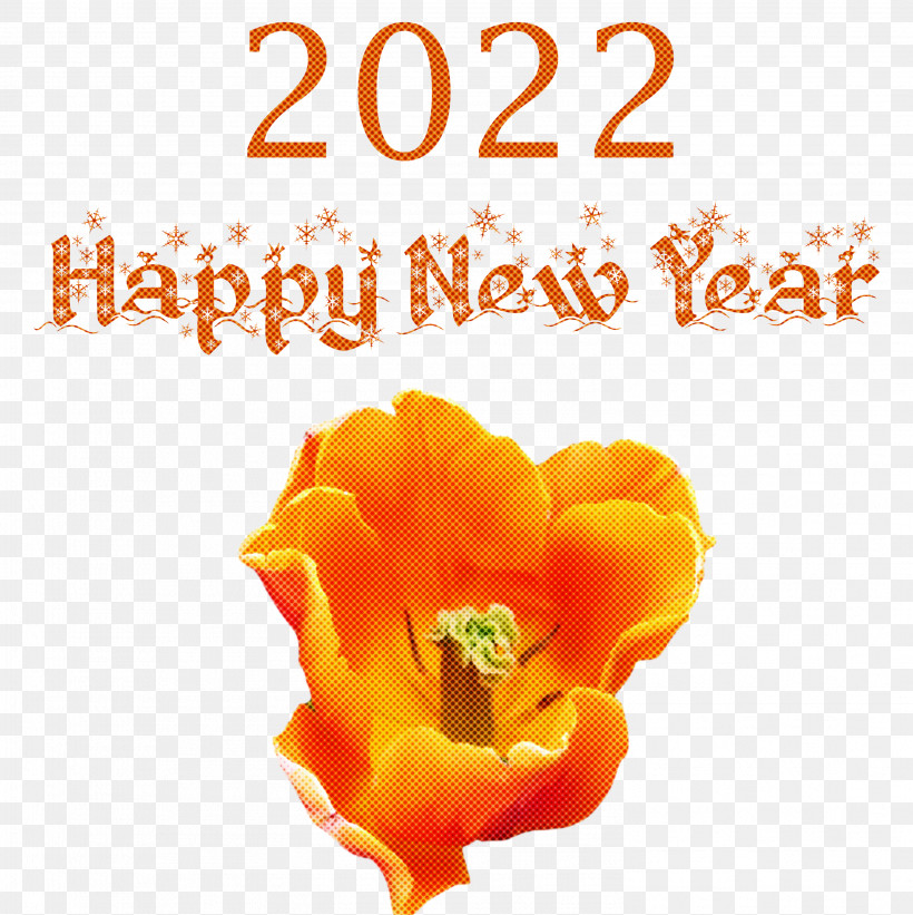 2022 Happy New Year 2022 New Year 2022, PNG, 2994x3000px, Cut Flowers, Biology, Flower, Meter, Petal Download Free