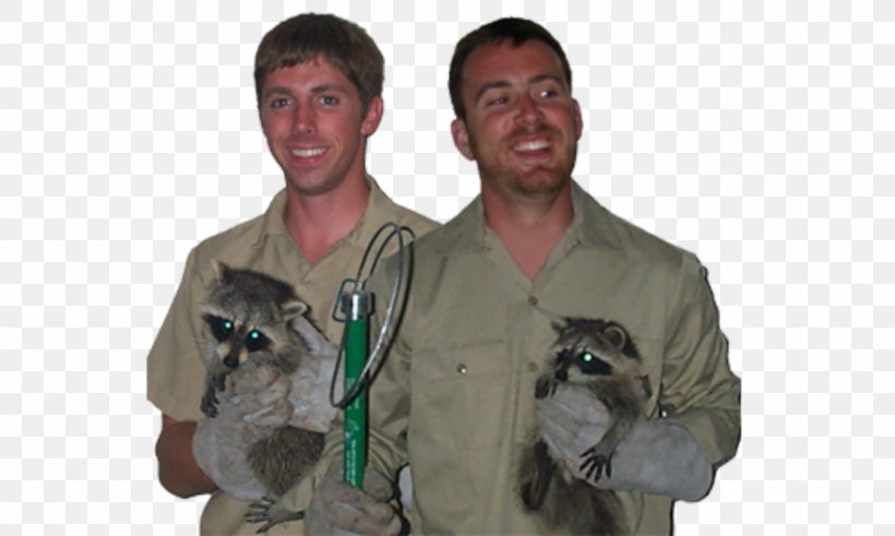 Cat Dog Wildlife Animal Control And Welfare Service Animal Shelter, PNG, 2000x1200px, Cat, Animal, Animal Control And Welfare Service, Animal Shelter, Dog Download Free