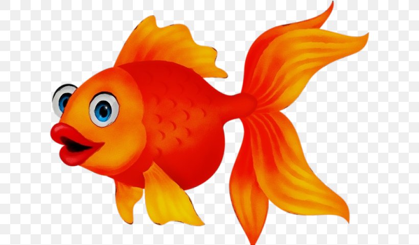 Orange, PNG, 628x481px, Watercolor, Bonyfish, Cartoon, Fin, Fish Download Free