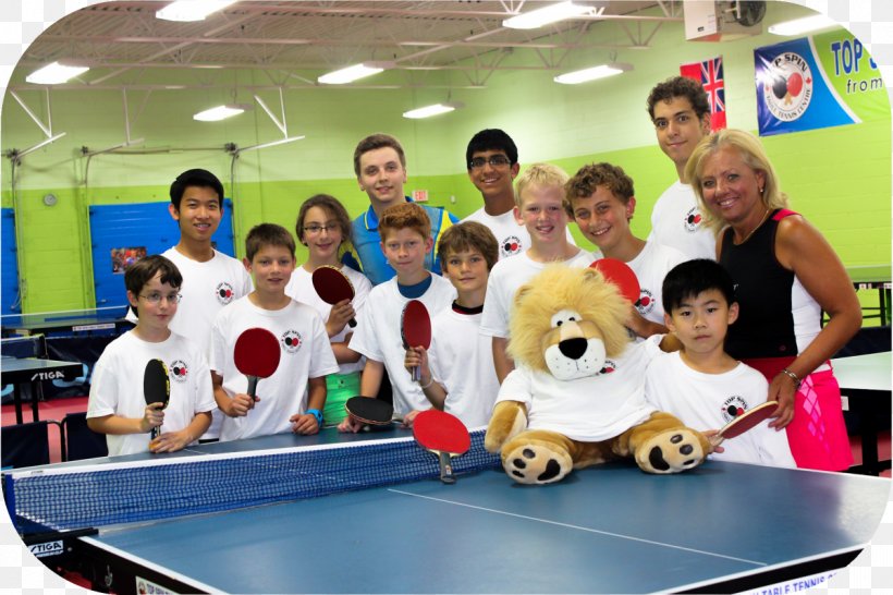 Rogers Cup Tennis Topspin Ping Pong Strings, PNG, 1200x800px, Rogers Cup, Child, Class, Classroom, Education Download Free
