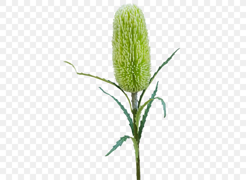 Artificial Flower Banksia Flower Bouquet Plant Stem, PNG, 800x600px, Artificial Flower, Banksia, Commodity, Flower, Flower Bouquet Download Free