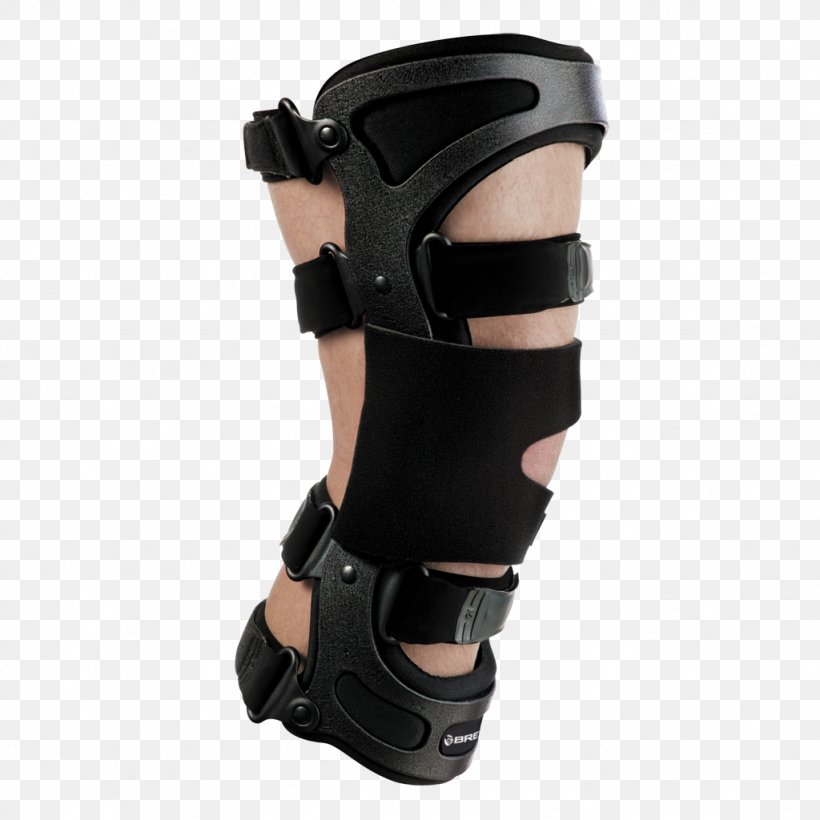 Knee Effusion Osteoarthritis Breg, Inc. Knee Arthritis, PNG, 1024x1024px, Knee, Anterior Cruciate Ligament, Breg Inc, Elbow, Hip Download Free