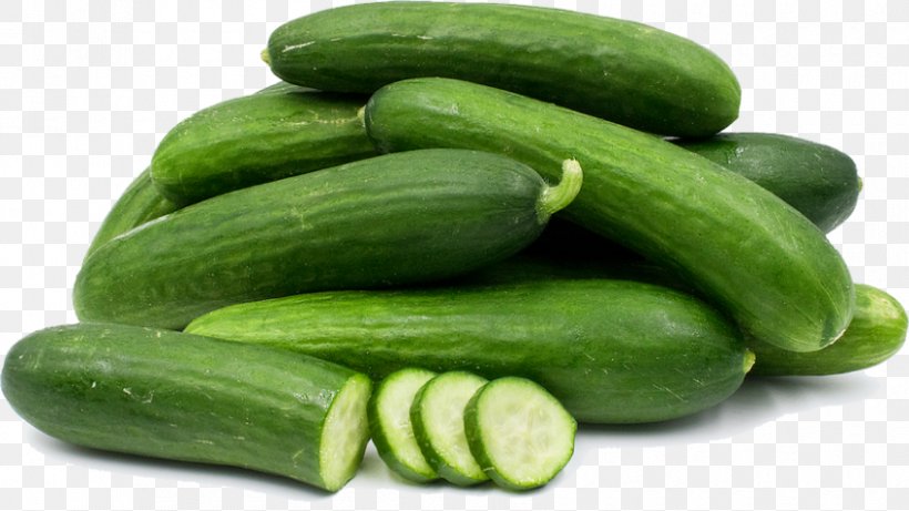 Pickled Cucumber Vegetable Cucurbitaceae, PNG, 850x478px, Pickled Cucumber, Cantaloupe, Cucumber, Cucumber Gourd And Melon Family, Cucumis Download Free