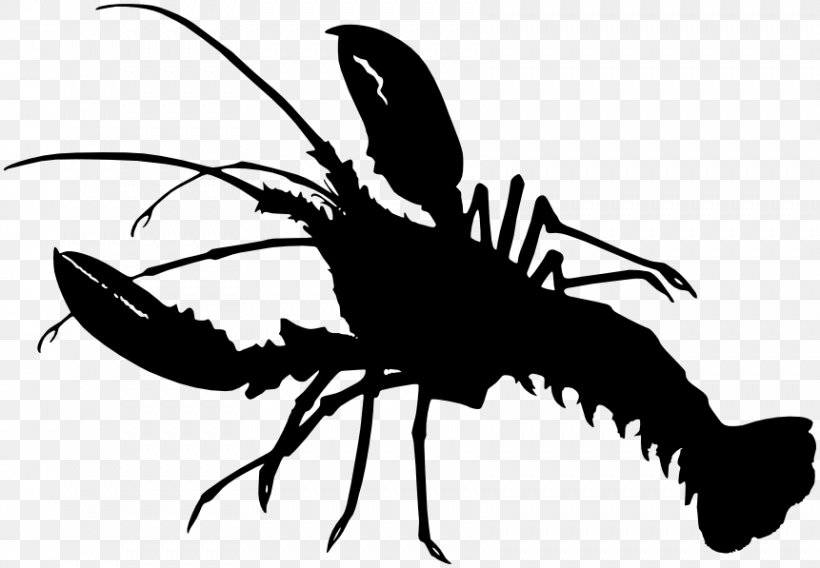 Crayfish As Food Lobster Crab Silhouette, PNG, 861x597px, Crayfish As Food, American Lobster, Arthropod, Black And White, Crab Download Free