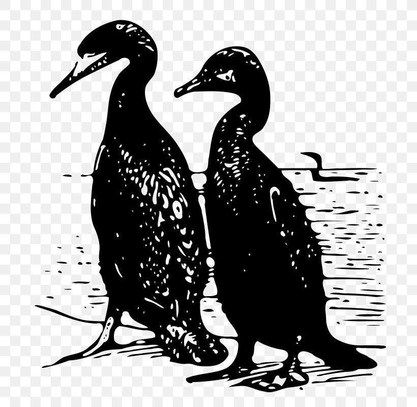 Duck Silhouette Clip Art, PNG, 757x800px, Duck, Beak, Bird, Black And White, Cartoon Download Free