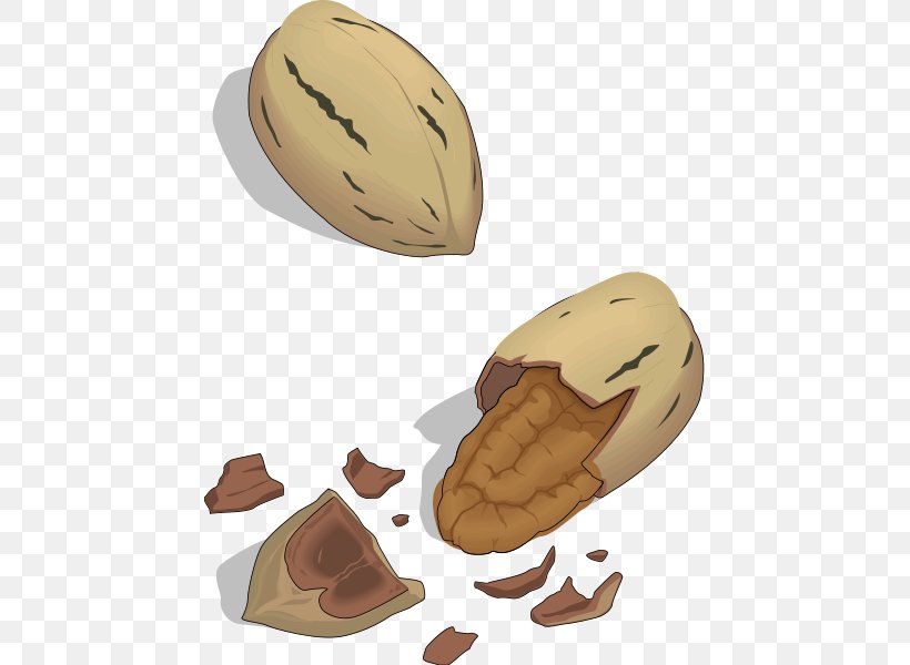Nut Pecan Cashew Clip Art, PNG, 451x600px, Nut, Acorn, Cashew, Dried Fruit, Finger Download Free