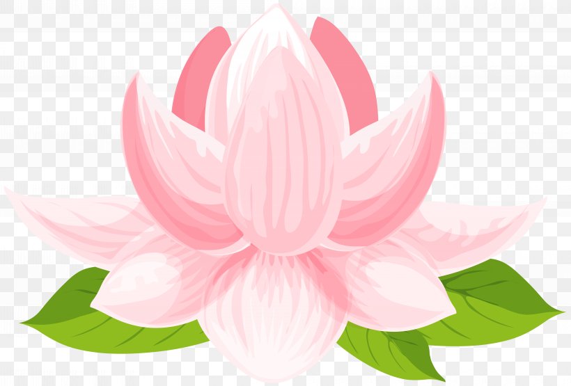 Sacred Lotus Clip Art Image Vector Graphics, PNG, 8000x5421px, Sacred Lotus, Aquatic Plant, Earth, Flower, Flowering Plant Download Free