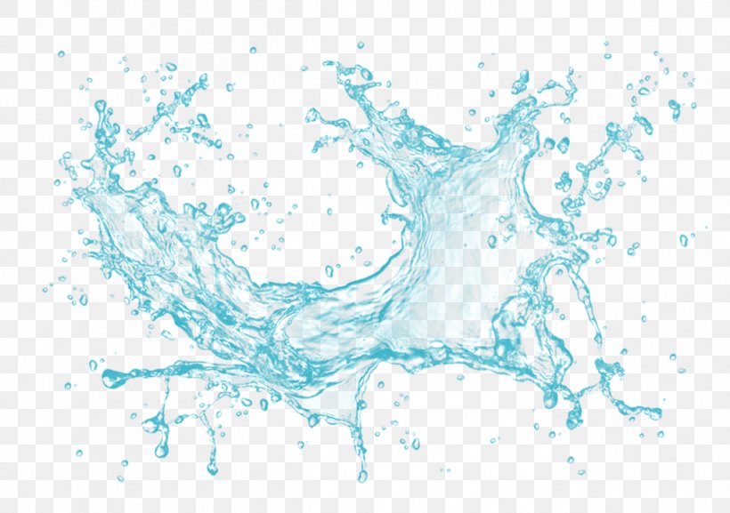 Water Services Drop, PNG, 1258x886px, Water, Blue, Branch, Color, Drawing Download Free