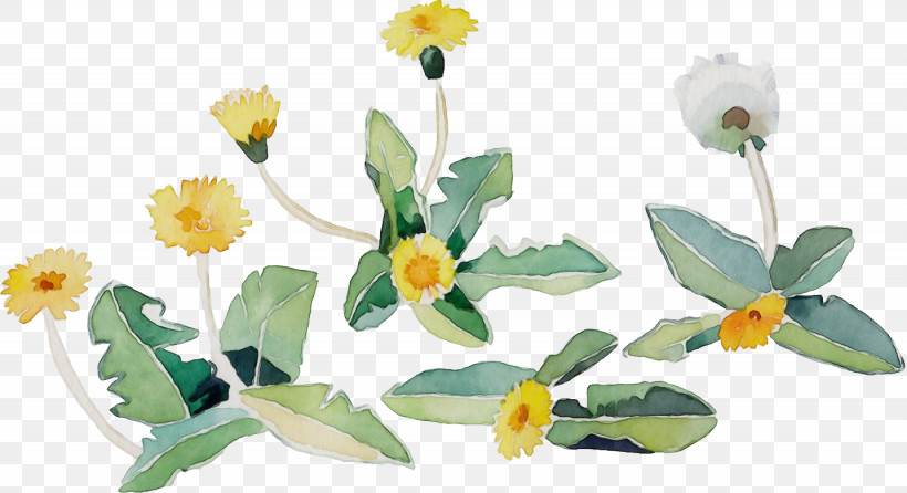 Flower Plant Yellow Petal Wildflower, PNG, 1435x782px, Watercolor, Flower, Lesser Celandine, Paint, Petal Download Free