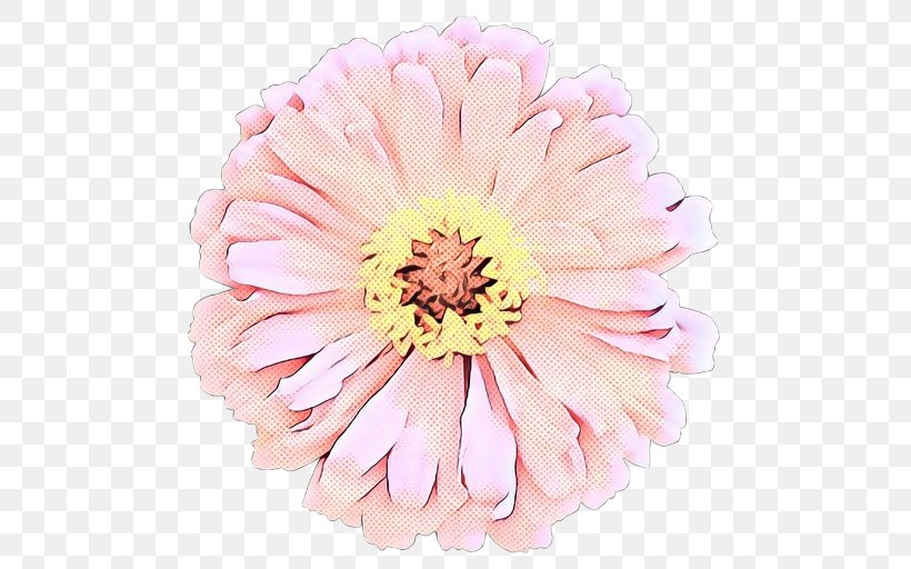 Transvaal Daisy Cut Flowers Floristry Chrysanthemum, PNG, 512x512px, Transvaal Daisy, Amaryllis, Artificial Flower, Barberton Daisy, Birthroots Download Free