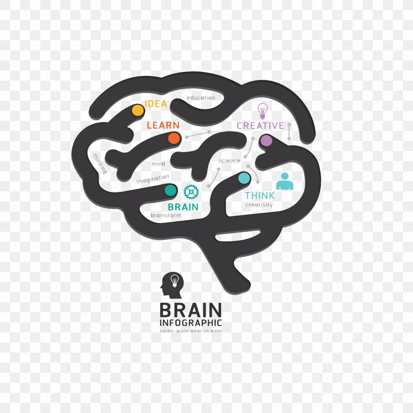 Human Brain Graphic Design Diagram, PNG, 2953x2953px, Brain, Brand, Diagram, Human Brain, Infographic Download Free