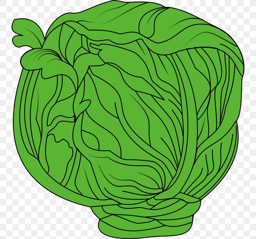 Thumbnail Clip Art, PNG, 746x768px, Thumbnail, Cabbage, Document, Flowering Plant, Food Download Free