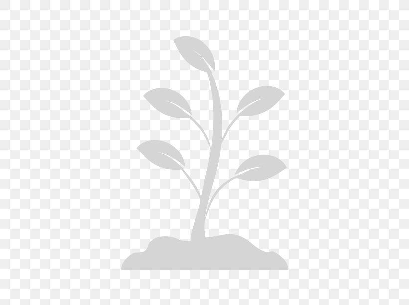 Branch Leaf Plant Stem Root, PNG, 612x612px, Branch, Black And White, Botany, Broad Bean, Education Download Free