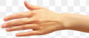 Skin Finger Hand Nail Joint PNG