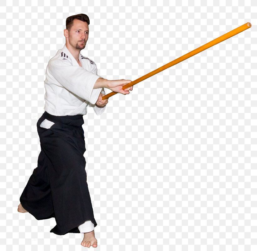 Academia Aiki Seishin Ryu School Weapon Combatives, PNG, 790x800px, Aiki, Arm, Combatives, Joint, School Download Free