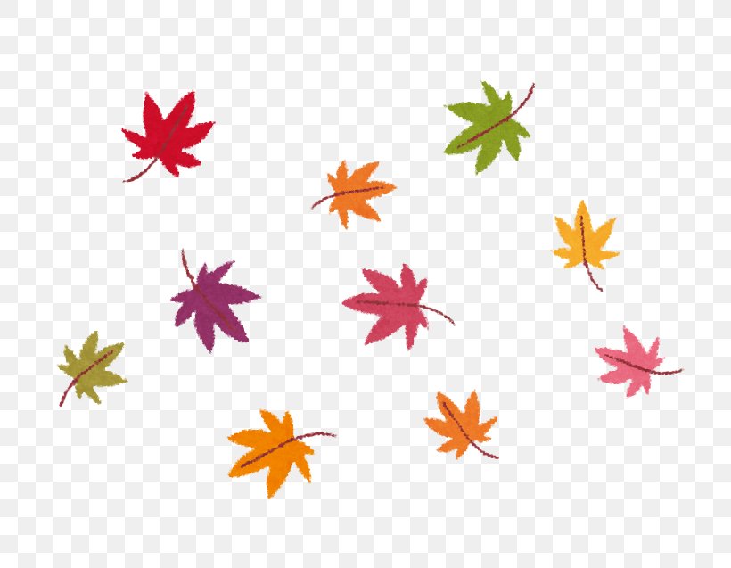 Autumn Leaf Color Photography Fotolia Caregiver, PNG, 767x637px, Autumn Leaf Color, Autumn, Caregiver, Flora, Flower Download Free