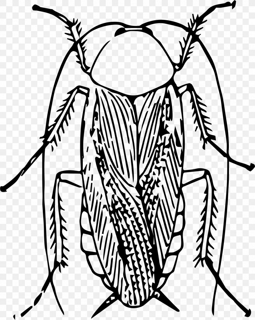 Cockroach Clip Art, PNG, 1729x2171px, Cockroach, American Cockroach, Artwork, Black And White, Brown Cockroach Download Free