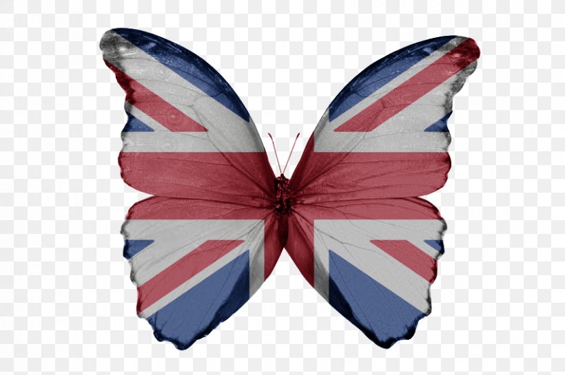 Flag Of The United Kingdom Flag Of The City Of London English Flag Of England, PNG, 850x565px, Flag Of The United Kingdom, Blue, Butterfly, English, Flag Download Free