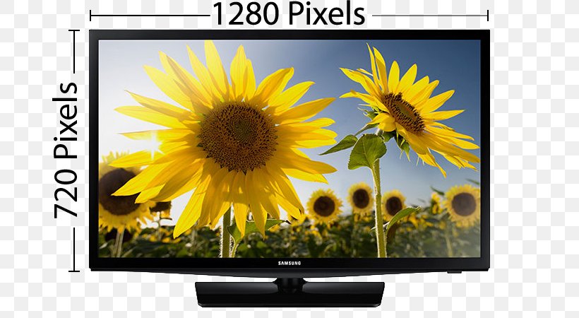 LED-backlit LCD Samsung 720p High-definition Television, PNG, 800x450px, Ledbacklit Lcd, Computer Monitor, Computer Monitors, Display Device, Flower Download Free