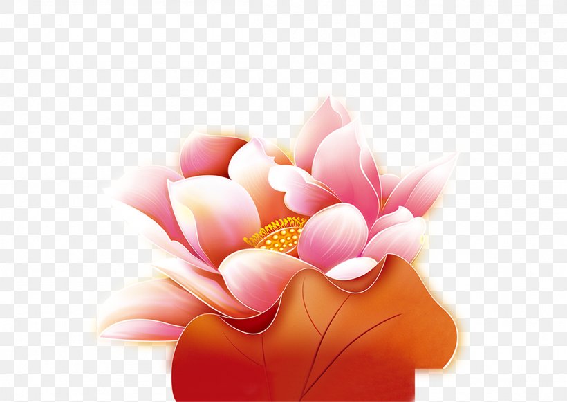 Nelumbo Nucifera Pygmy Water-lily Clip Art, PNG, 1152x817px, Nelumbo Nucifera, Cartoon, Chinese New Year, Festival, Floral Design Download Free
