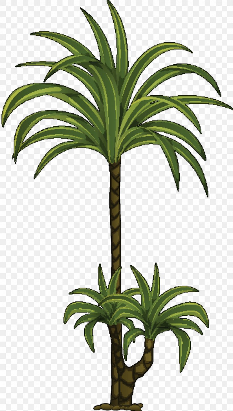 Palm Trees Flowerpot Plant Stem Houseplant INAV DBX MSCI AC WORLD SF, PNG, 1194x2104px, Palm Trees, Agave, Arecales, Botany, Date Palm Download Free