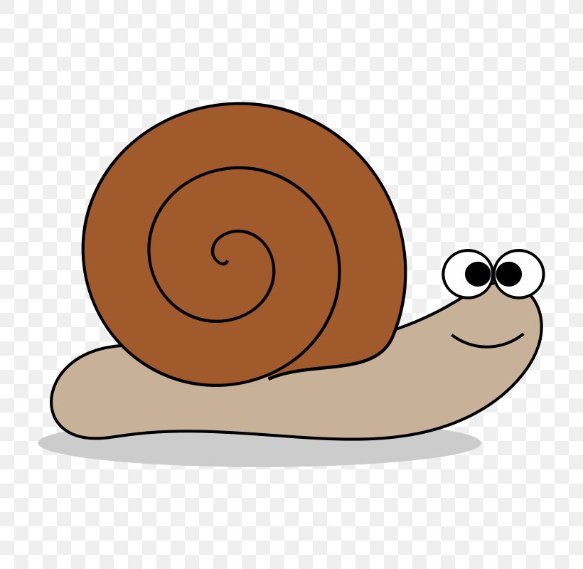 Snail Free Content Clip Art, PNG, 800x800px, Snail, Blog, Drawing, Free Content, Invertebrate Download Free